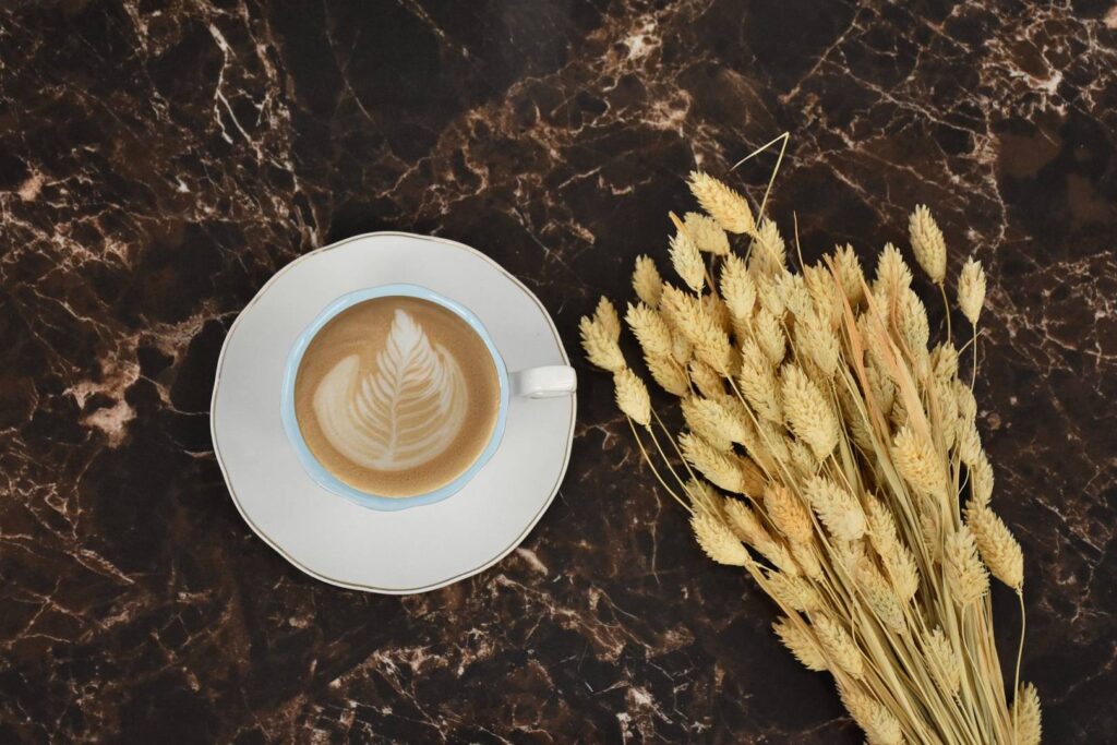 Napój owsiany do kawy – jak wybrać wariant, który dobrze łączy się z espresso i daje stabilną piankę?